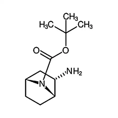 (1S，2S，4R)-REL-2-AMINO-7-BOC-7-AZABICYCLO[2.2.1]HEPTANE