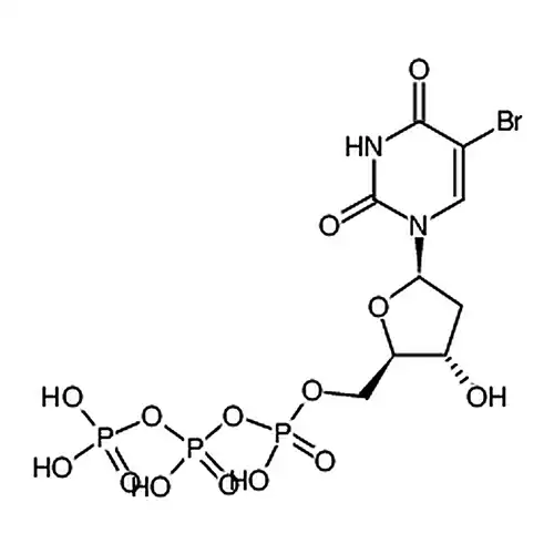 5-BrdUTP sodium salt (5-Bromo-2'-deoxyuridine 5'-triphosphate sodium salt)