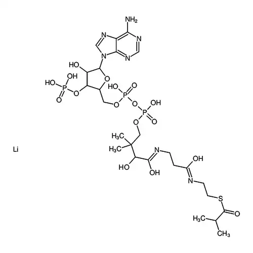 Isobutyryl coenzyme A lithium salt
