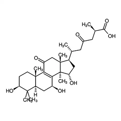 灵芝산 C2