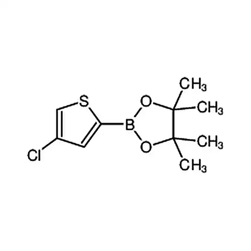 2-(4-염소티오펜-2-基)-4，4，5，5-四메틸-1，3，2-二恶붕소알칸