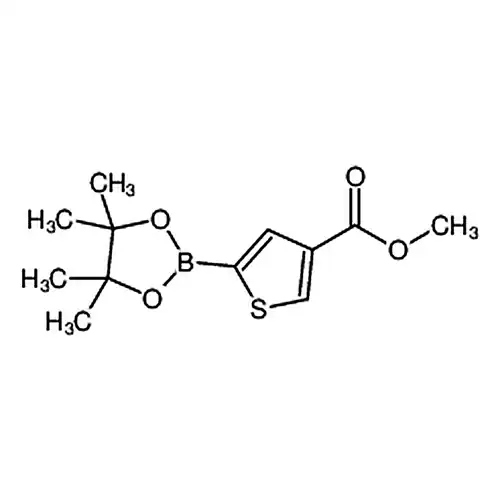メチル 5-(4，4，5，5-四メチル-1，3，2-二酸素杂ホウ素ペンチル环并-2-YL)チオフェン-3-ギ酸基エステル