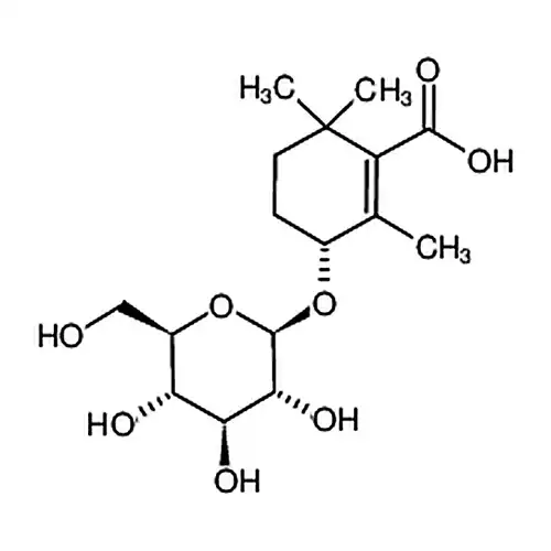 rehmapicroside