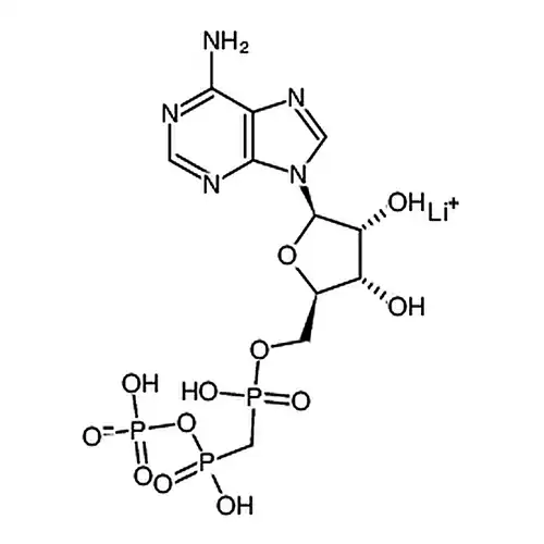 Α， β-亚メチル腺苷 5′-三リン酸塩 リチウム塩