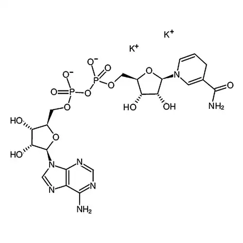 beta-Nicotinamide adenine dinucleotide， reduced dipotassium salt