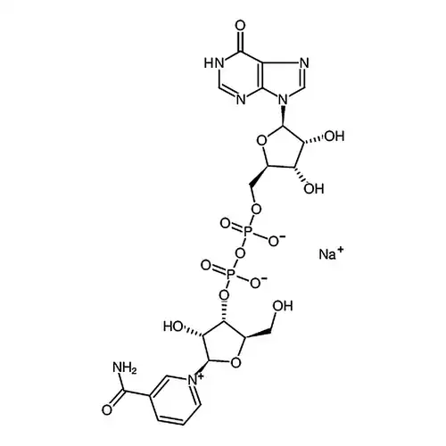 烟アミド次黄プリン二核苷酸ナトリウム塩