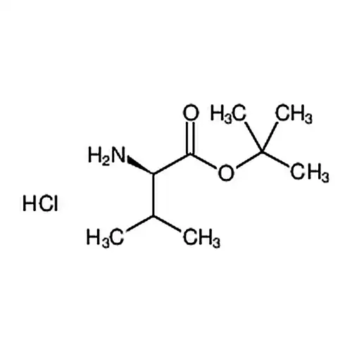 D-缬氨酸tert-ブチル塩酸塩