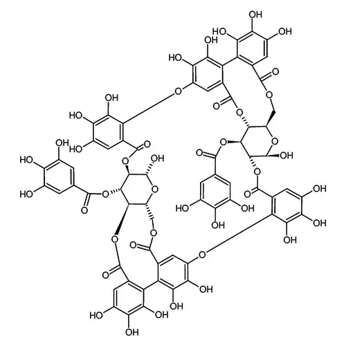 Oenothein B