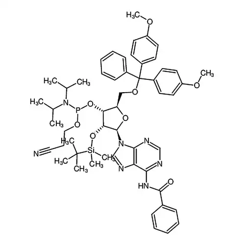 N-ベンゾイル基-5'-O-(4,4-二メチル酸素基三ベンゼンメチル)-2'-O-[(tert-ブチル)ジメチルケイ素基]腺苷-3'-(2-氰基エチル-N,N-二イソプロピル)亚リンアミド