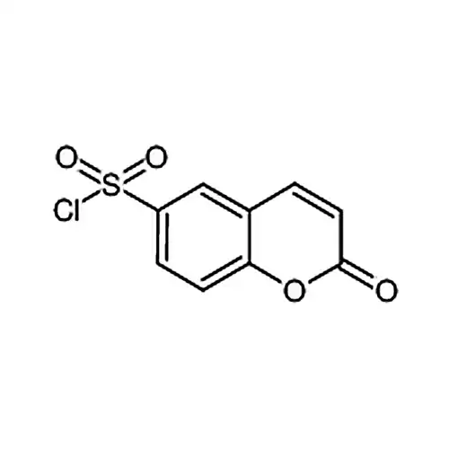 香豆素-6-磺酰塩素