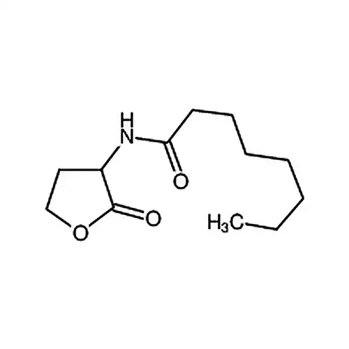 N-октил酰-DL-高丝氨кислота内эфир