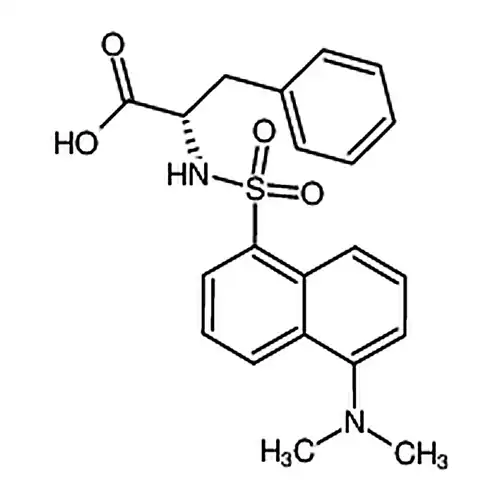 丹磺酰-L-벤젠프로필氨산
