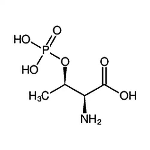 O-リン酸- L -苏氨酸