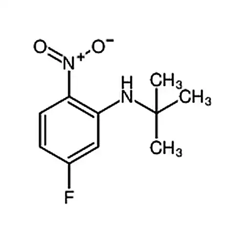 N-tert-부틸-5-불소-2-니트로아닐린
