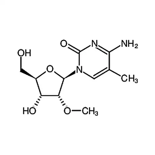 5-メチル-2'-酸素メチル胞苷