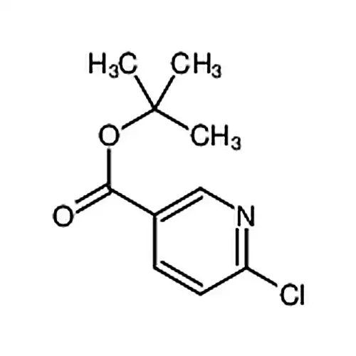 6-塩素烟酸叔ブチルエステル