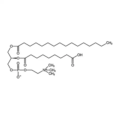 1-palmitoyl-2-(9'-oxo-nonanoyl)-sn-glycero-3-phosphocholine