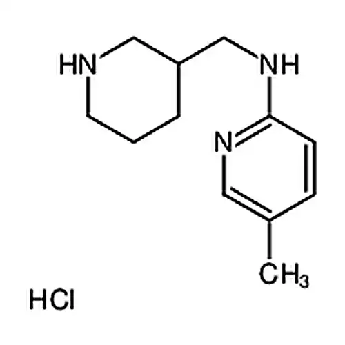 5-メチル-N-(3-哌啶基メチル)-2-ピリジンアミン塩酸塩
