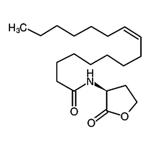 Dihydro-3-amino-2-(3H)-furanone 3-Aminooxolan-2-one