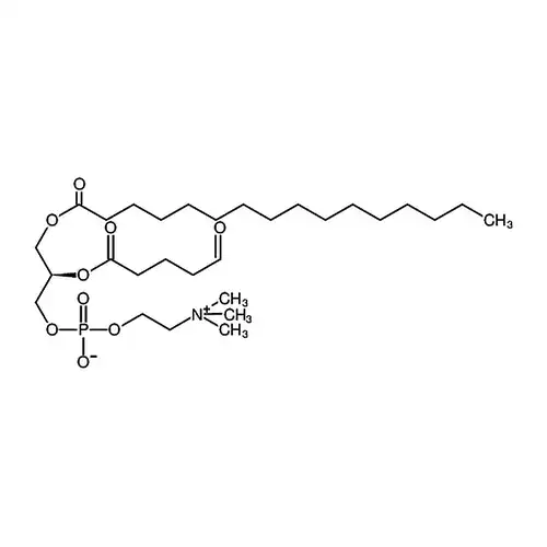 1-棕榈酰-2-（5'-酸素代ペンチル酰）-sn-グリセリン-3-リン酸胆碱