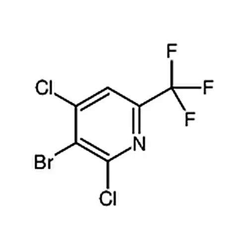 3-브롬-2,4-二염소-6-(三불소메틸)피리딘