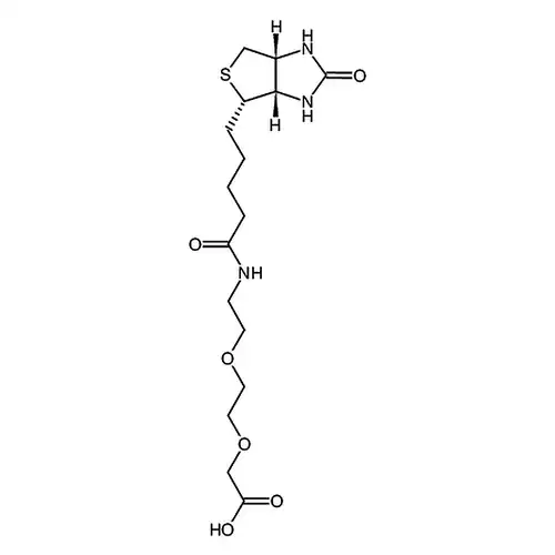 2-(2-(2-(5-((3aS,4S,6aR)-2-산소代六수소-1H-티오펜并[3,4-d]이미다졸-4-基)펜틸아미드基)에틸산소基)에틸산소基)아세트산