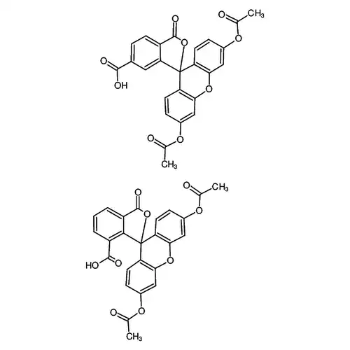 5(6)-カルボキシ荧光素二酢酸エステル, for fluorescence