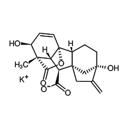 GA3