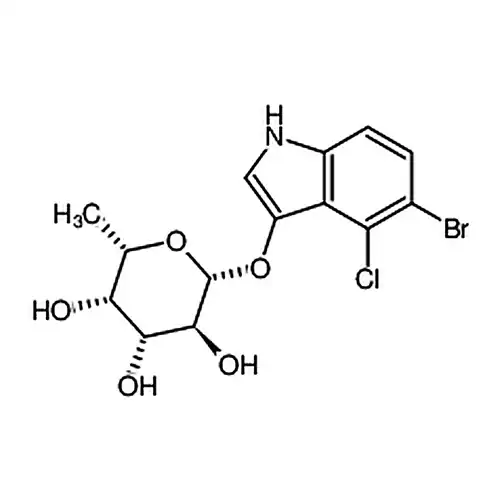 5-臭素-4-塩素-3-インドール基β-L-岩藻糖苷