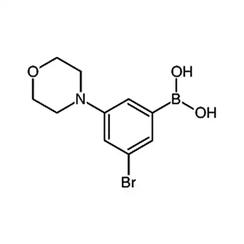 3-臭素-5-吗啉ベンゼンホウ酸