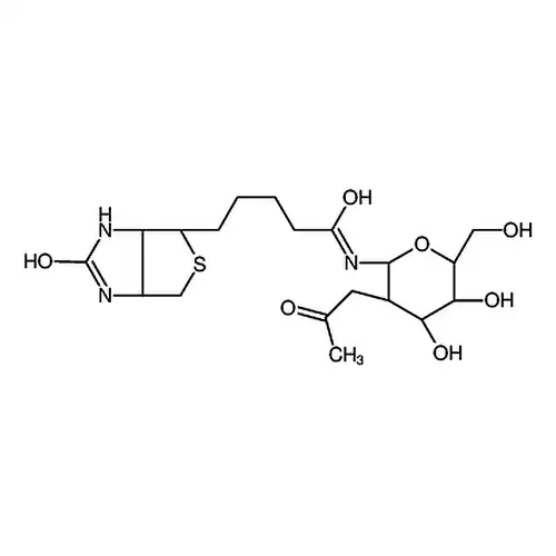 N-GlcNAc-Biotin