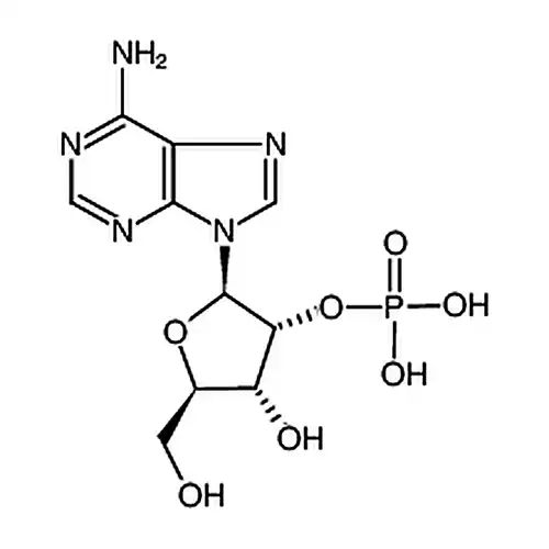 ADENOSINE 2' -& 3'-MONOPHOSPHATE FREE