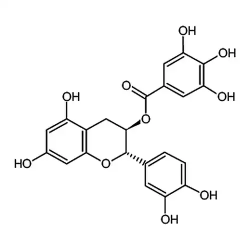 (-)-没食子산儿茶素에스테르