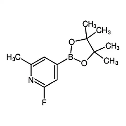 2-Fluoro-6-methyl-4-(4,4,5,5-tetramethyl-1,3,2-dioxaborolan-2-yl)pyridine