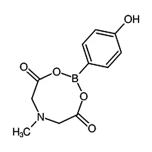 4-hydroxyphenylboronic acid N-methyliminodiacetic acid ester