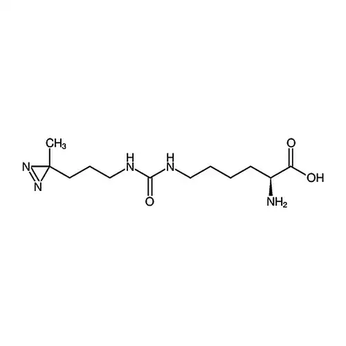(S)-2-amino-6-(3-(3-(3-methyl-3H-diazirin-3-yl)propyl)ureido)hexanoic acid