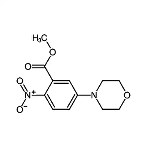 5-吗啉-2-ニトロベンゼンギ酸メチルエステル