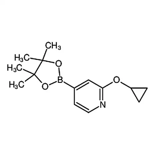 2-环пропилкислорода基-4-(4,4,5,5-四метил-1,3,2-二кислорода杂环пентилбораалкан-2-基)피리딘