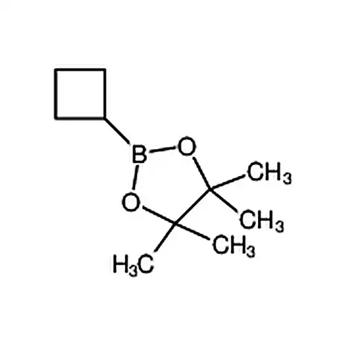 2-环ブチル基-4,4,5,5-四メチル-1,3,2-二酸素ホウ素杂环ペンチルアルカン