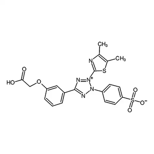 MTS試薬， cell proliferation assay reagent