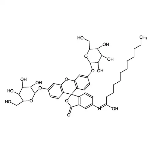 C12FDG [5-十二알칸酰基아미노荧光素二-β-D-吡喃半乳糖苷]