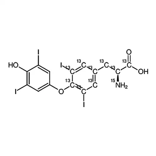 L-Thyroxine-13C9，15N
