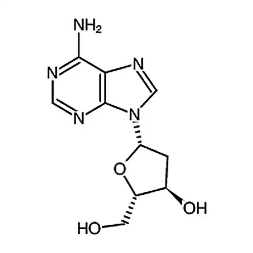 9-(2-脱酸素-β-L-フラン核糖基)腺プリン