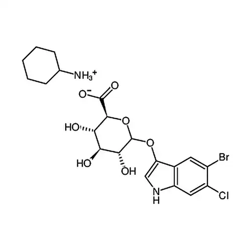 5-臭素-6-塩素-3-インドール基β-D-葡糖苷酸环ヘキシル铵塩 [用于生化研究]