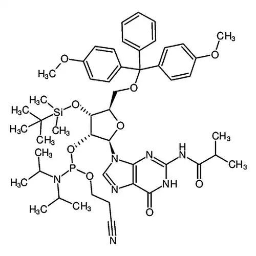 3'-O-tert-부틸디메틸메틸규소알칸基-5'-O-DMT-N2-异부틸酰鸟苷2'-CE亚인아미드