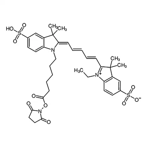 Cyanine 5琥珀酰亚아민에스테르