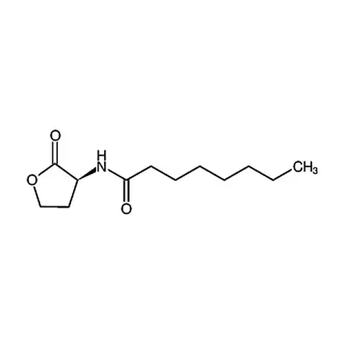 N-Octanoyl-L-homoserine lactone