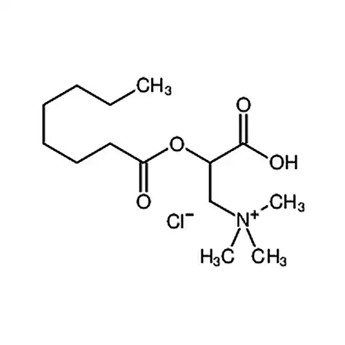 （±）-オクチル酰肉碱塩化物