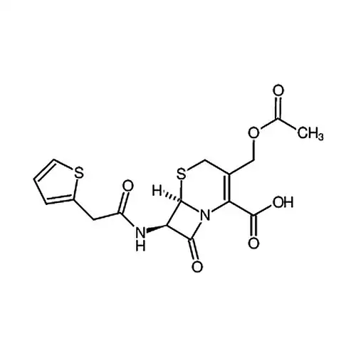 Cephalothin