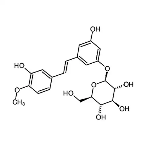 Rhapontin